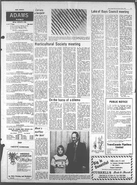 1974040400276.PDF