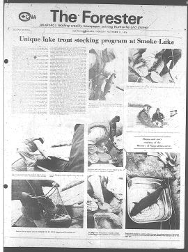 1976111101338.PDF