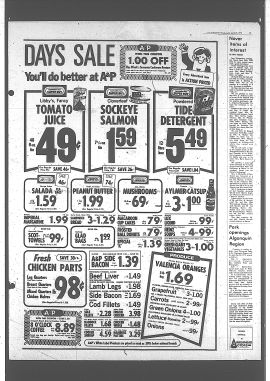 1979042500433.PDF