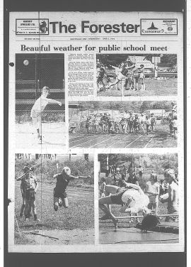 1979060600613.PDF