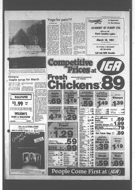 1981031100259.PDF
