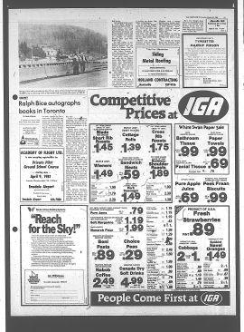 1981032500323.PDF