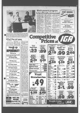 1981040800374.PDF