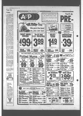 1981050600515.PDF