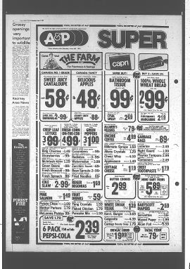 1981060300623.PDF