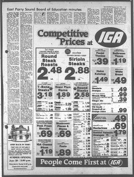 1981061700667.PDF