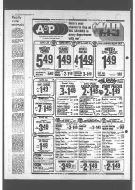 1981081200933.PDF