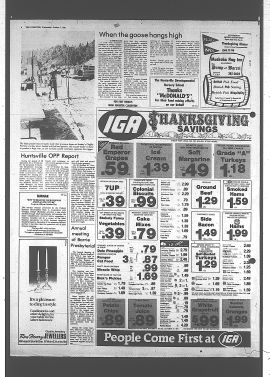 1981100701140.PDF