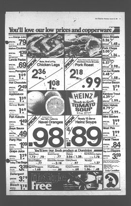 1982012000059.PDF