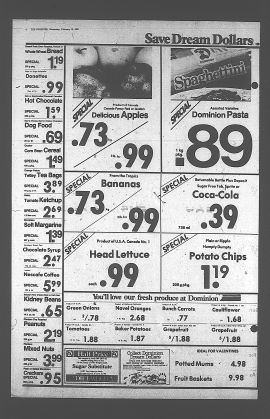 1982021000138.PDF