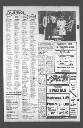 1982061600647.PDF