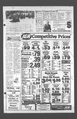 1982102001199.PDF