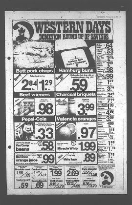 1983051100537.PDF