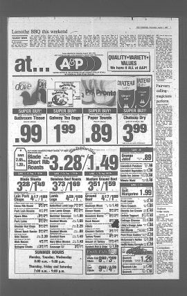 1985080700731.PDF