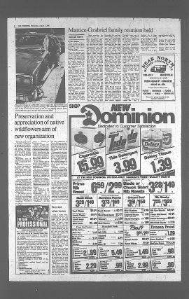 1985080700738.PDF