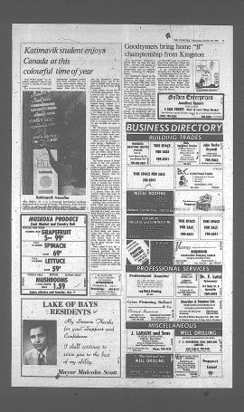1985103101030.PDF