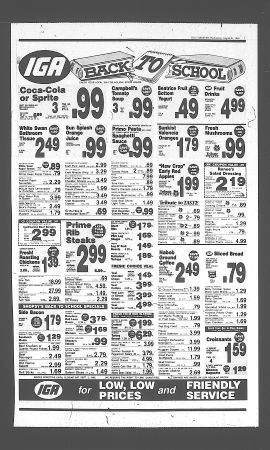 1988083101015.PDF