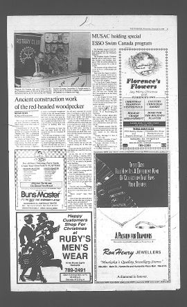 1989120601725.PDF