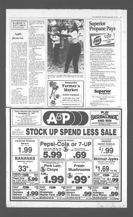 1991091801309.PDF