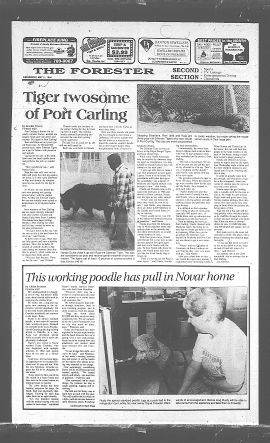 1994051100527.PDF