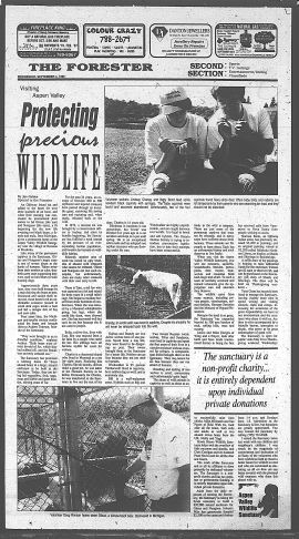 1996090401145.PDF