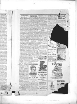 1893Nov02007A.PDF