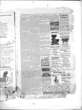 1893Nov16007A.PDF