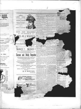 1893Nov23005A.PDF