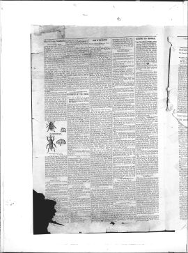 1893Nov30002.PDF