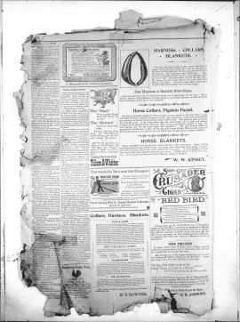 1898Nov10008.PDF