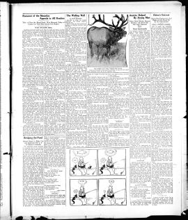 1929Oct24003.PDF