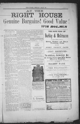 1885Jul10003.PDF