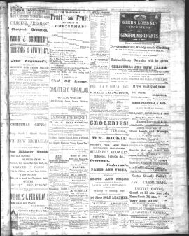 1866Dec19003.PDF